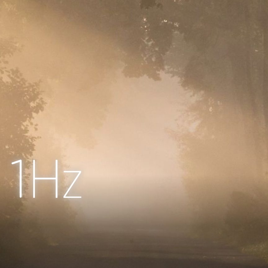 Morning Fog