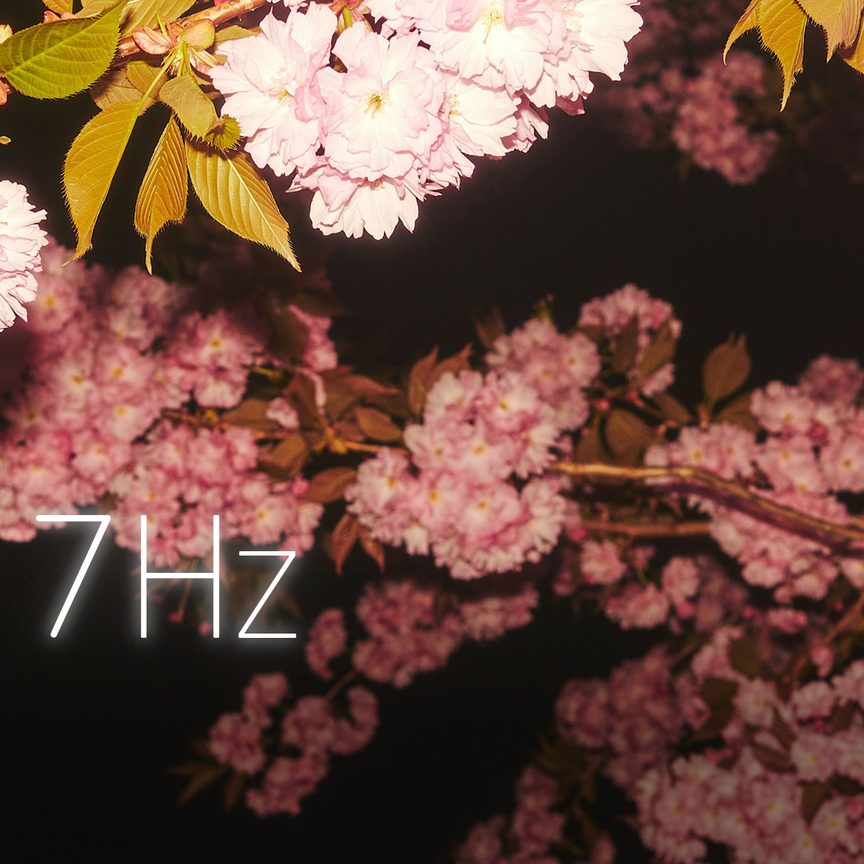 Yozakura Dreams