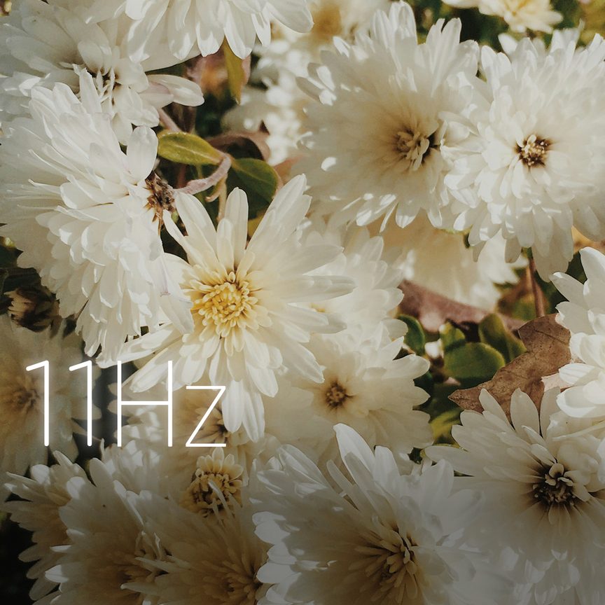 White Bloom