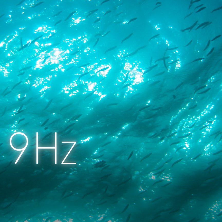 Immersed in the Sea
