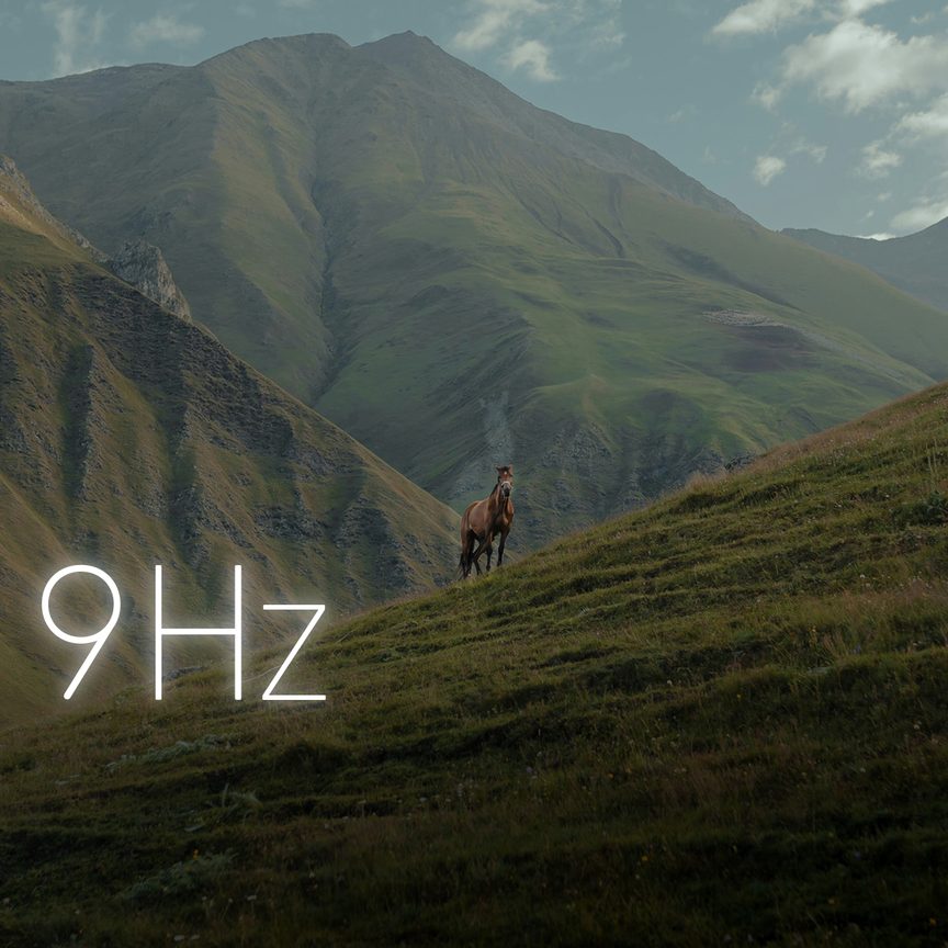 Call of Wild