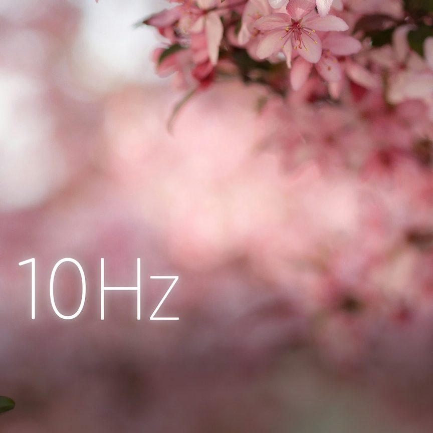 Blossom
