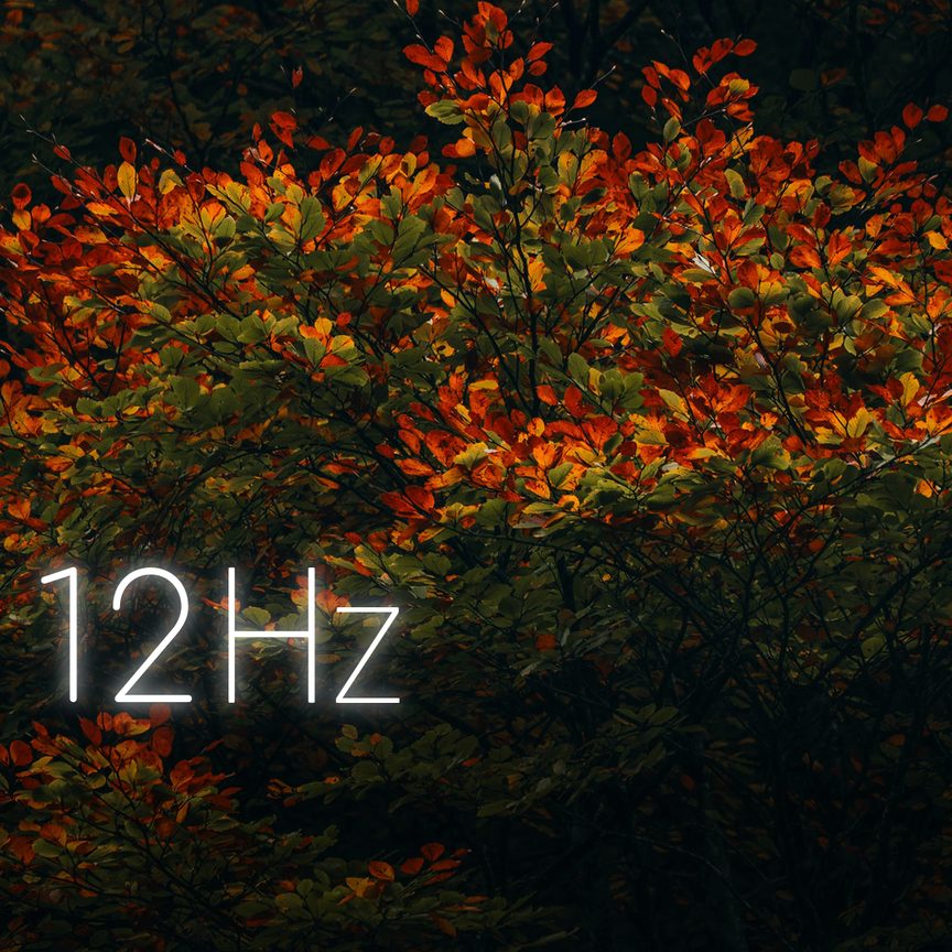 Autumn Resonance