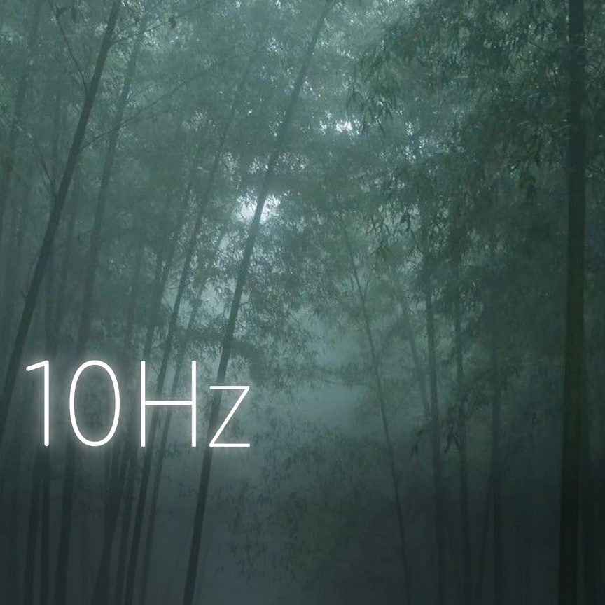 Deep in the Bamboo Forest