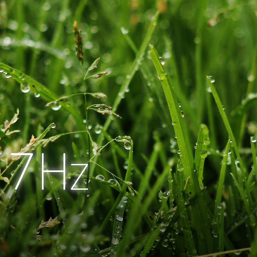 New Grass Story
