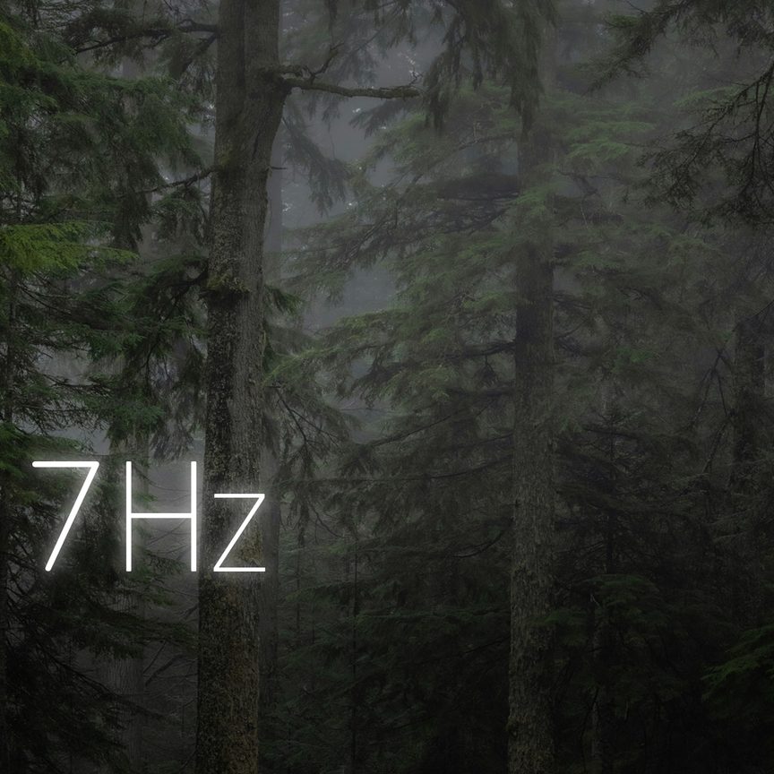 Foggy Forest Path