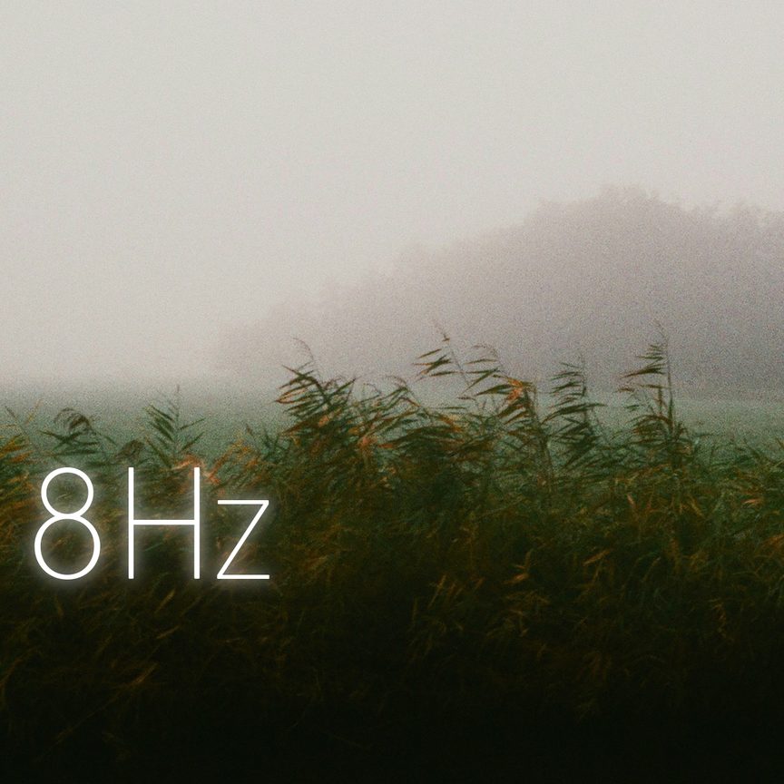 Misty Reeds