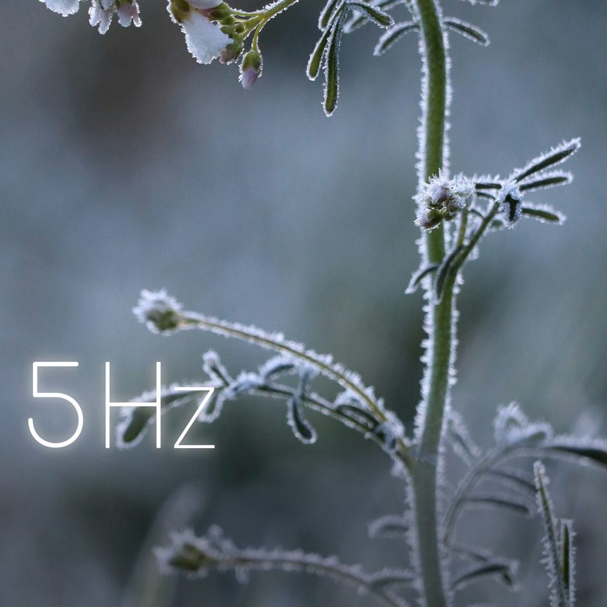 Snowbloom