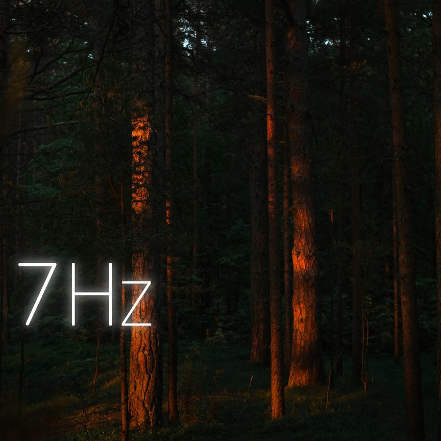 Twilight Forest