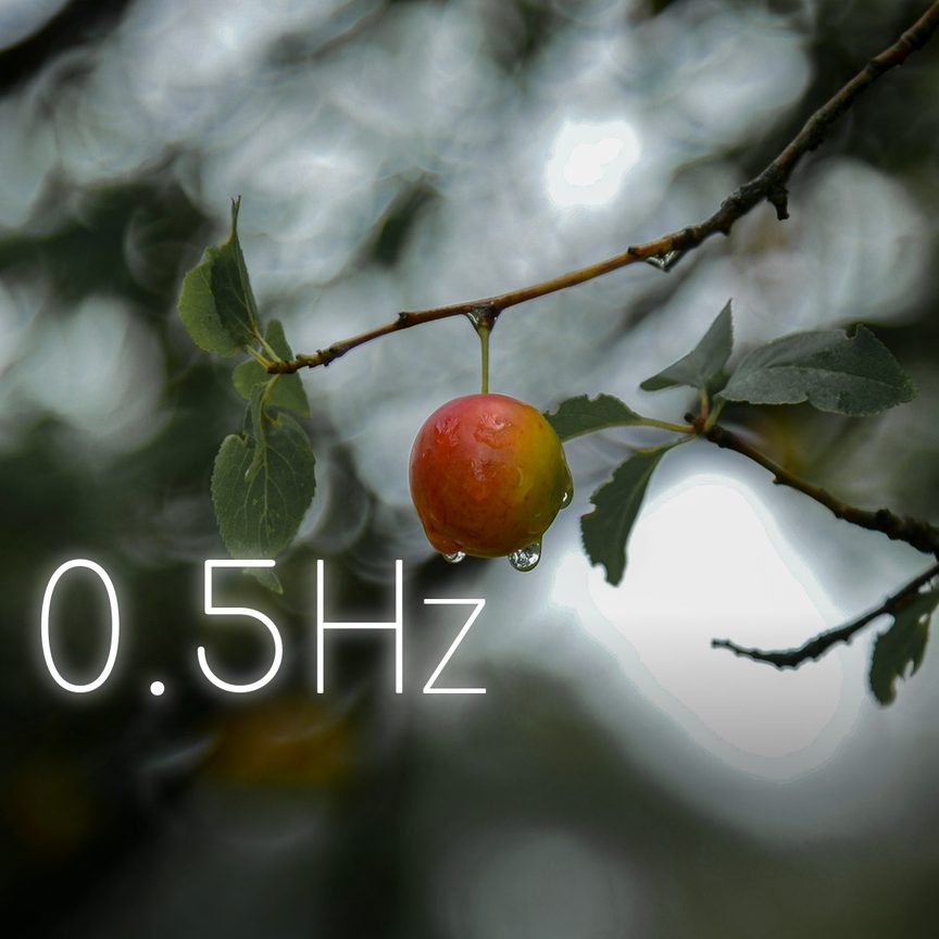 Orchard Shower
