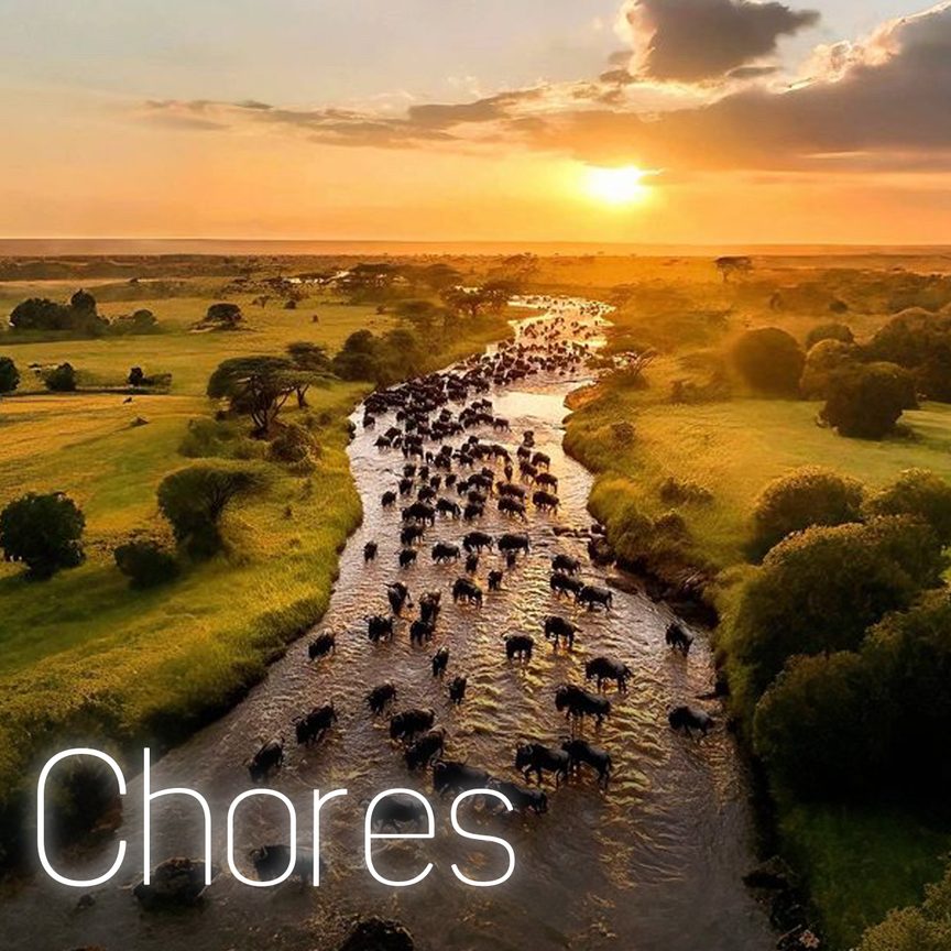 Chores