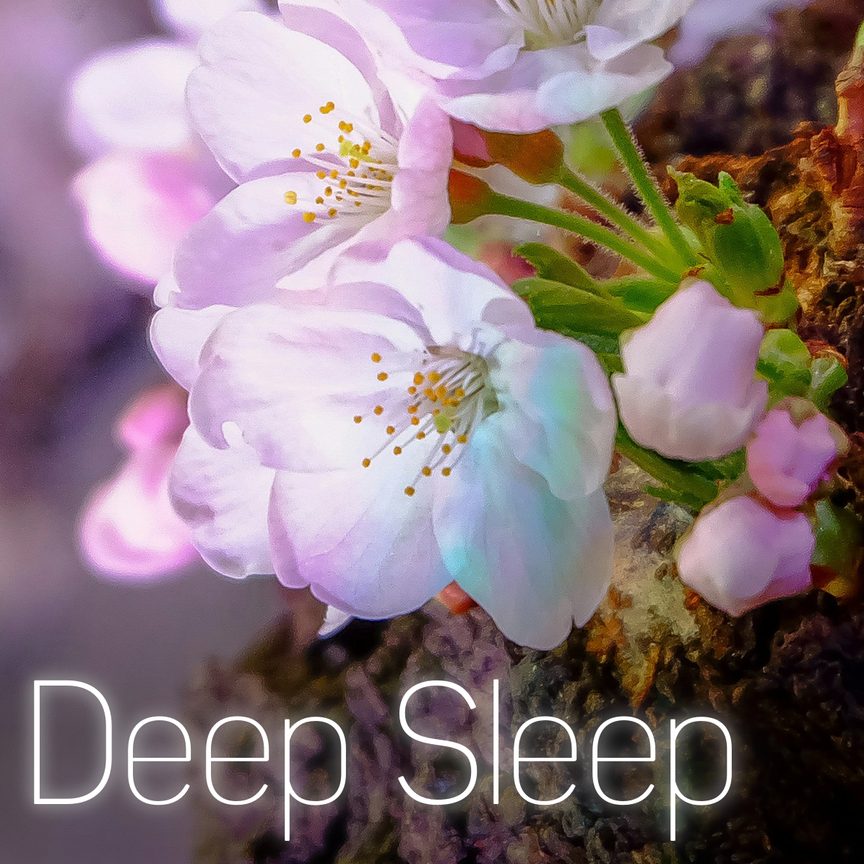 Deep Sleep
