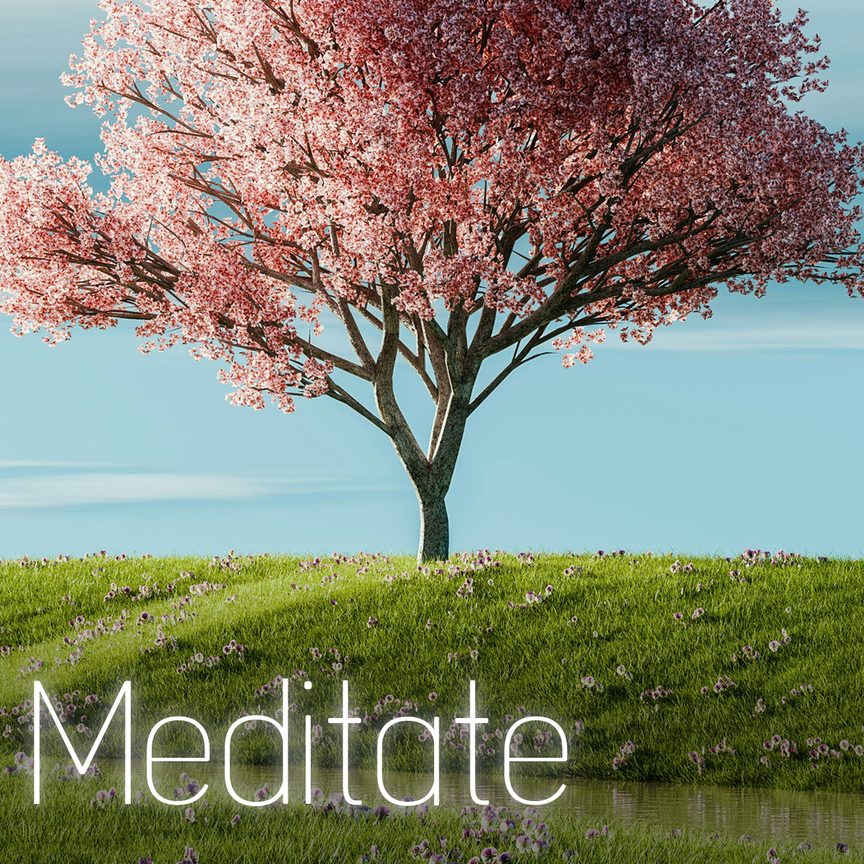 Meditate