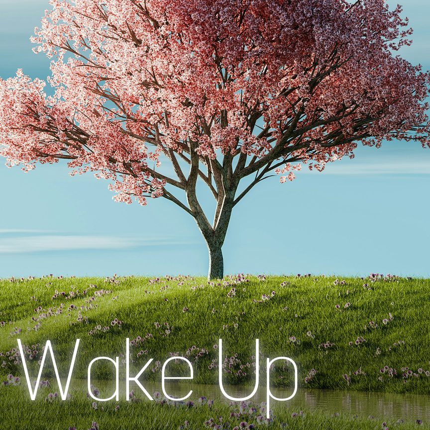 Wake Up